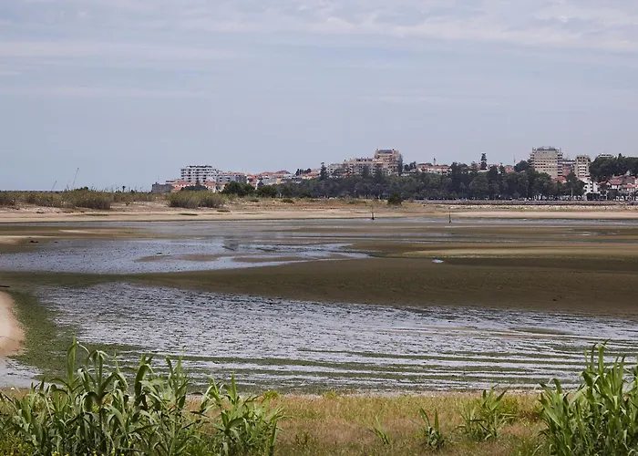 Porto Sunset Flat Daire